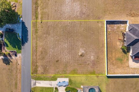 Land in Fruitland Park, Florida № 2213193 - photo 3