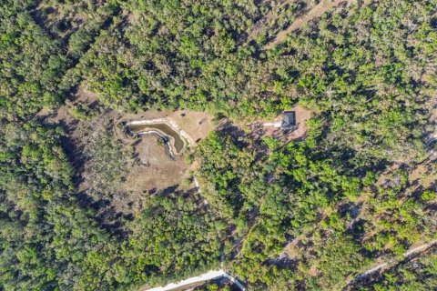 Land in Old Town, Florida № 2294491 - photo 6