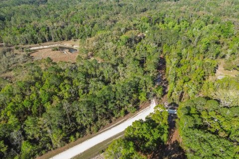 Land in Old Town, Florida № 2294491 - photo 2
