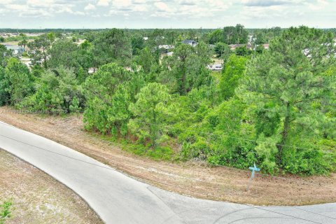 Land in Lehigh Acres, Florida № 1711728 - photo 10