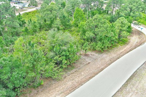 Land in Lehigh Acres, Florida № 1711728 - photo 11
