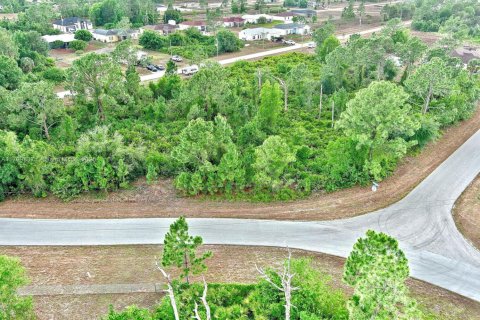 Land in Lehigh Acres, Florida № 1711728 - photo 29