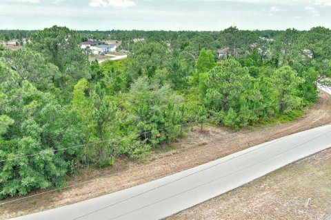 Land in Lehigh Acres, Florida № 1711728 - photo 7