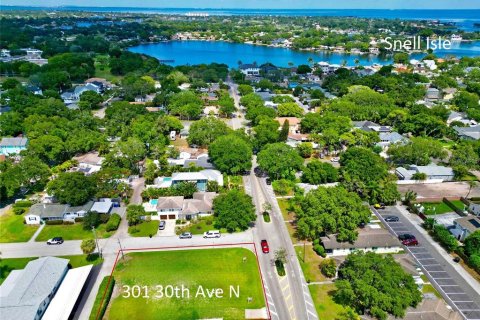 Land in Saint Petersburg, Florida № 1139960 - photo 2