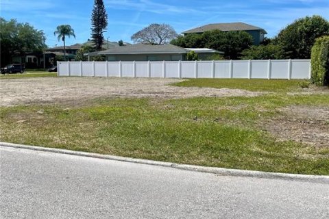 Land in Saint Petersburg, Florida № 1139960 - photo 1