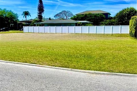 Land in Saint Petersburg, Florida № 1139960 - photo 5