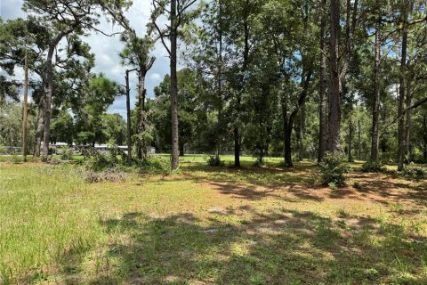 Land in Spring Hill, Florida № 1916403 - photo 5
