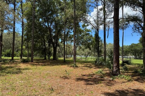 Land in Spring Hill, Florida № 1916403 - photo 1