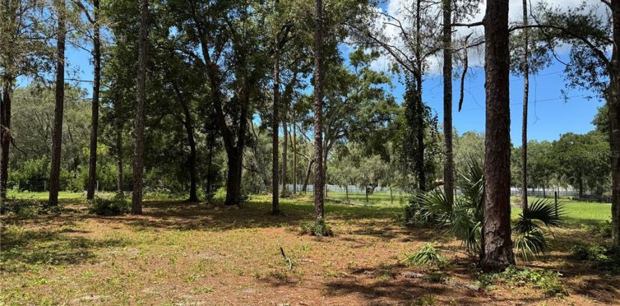 Land in Spring Hill, Florida № 1916403