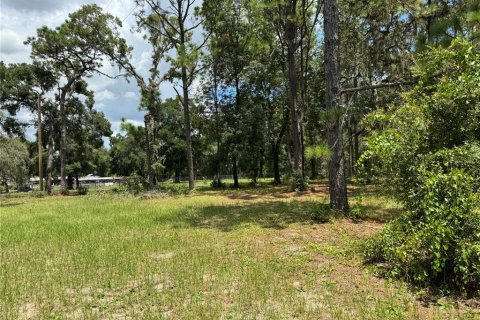 Land in Spring Hill, Florida № 1916403 - photo 4