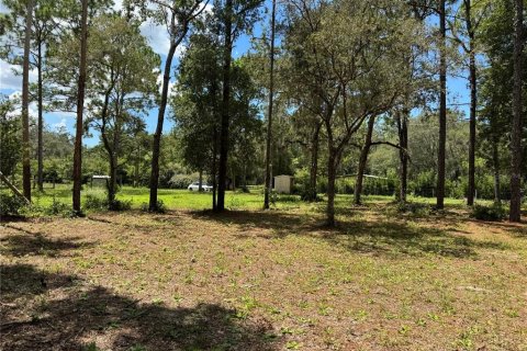 Land in Spring Hill, Florida № 1916403 - photo 3