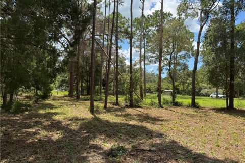 Land in Spring Hill, Florida № 1916403 - photo 2