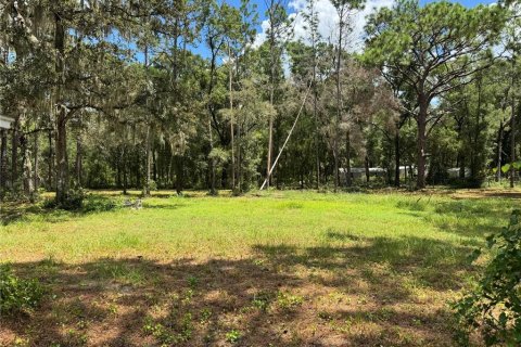 Land in Spring Hill, Florida № 1916403 - photo 6