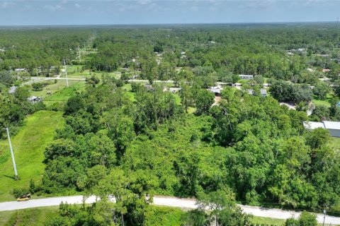 Terrain à vendre à New Smyrna Beach, Floride № 1777977 - photo 6