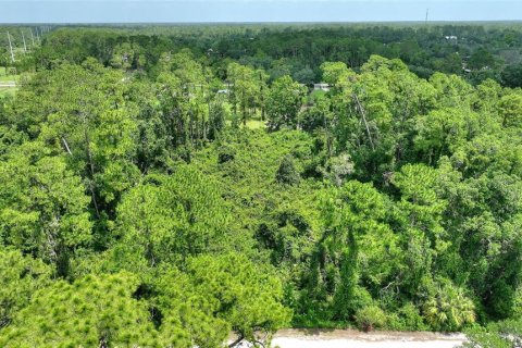 Terrain à vendre à New Smyrna Beach, Floride № 1777977 - photo 22