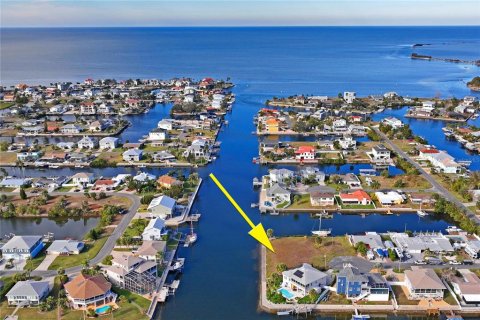 Land in Hernando Beach, Florida № 1537186 - photo 8