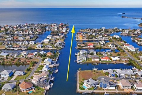 Land in Hernando Beach, Florida № 1537186 - photo 2
