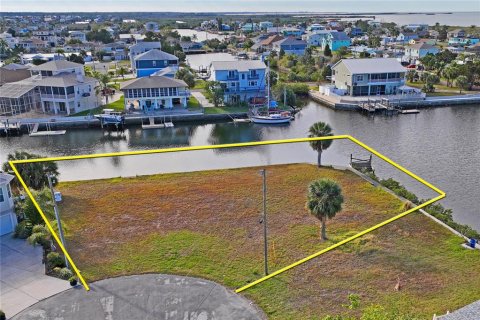 Land in Hernando Beach, Florida № 1537186 - photo 5