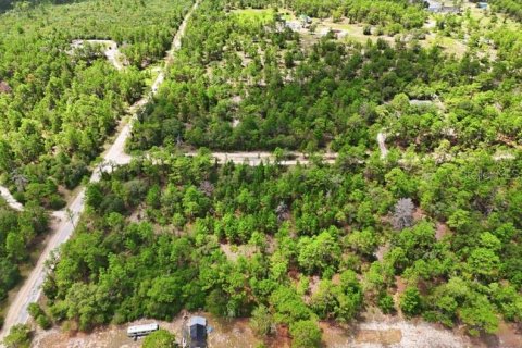Land in Dunnellon, Florida № 2391406
