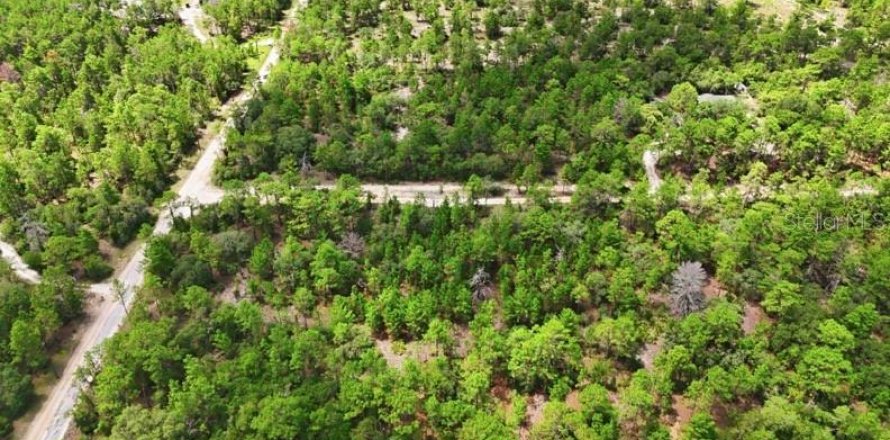 Land in Dunnellon, Florida № 2391406