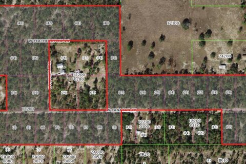 Land in Dunnellon, Florida № 2391406 - photo 5