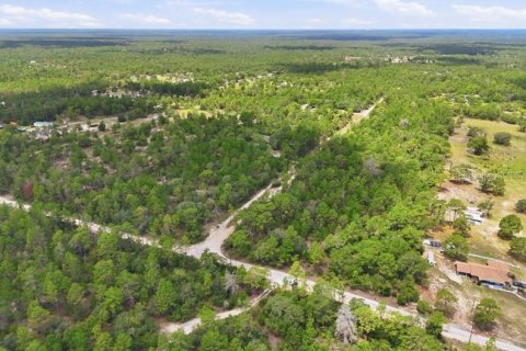 Land in Dunnellon, Florida № 2391406 - photo 3