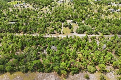 Land in Dunnellon, Florida № 2391406 - photo 2