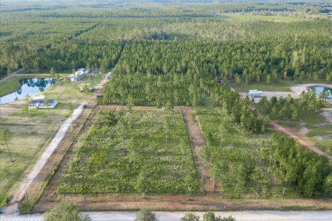 Land in Hilliard, Florida № 770211 - photo 1