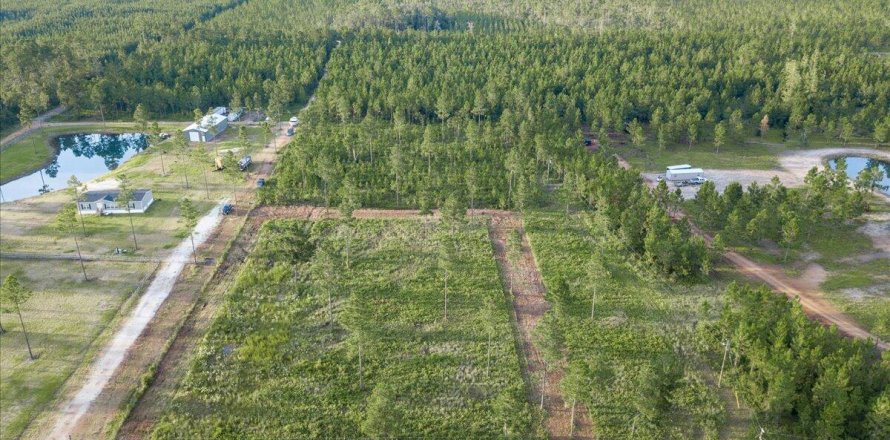 Land in Hilliard, Florida № 770211