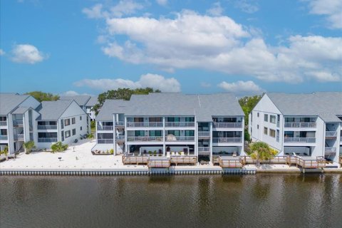 Copropriété à vendre à Ruskin, Floride: 2 chambres, 101.73 m2 № 2354164 - photo 2