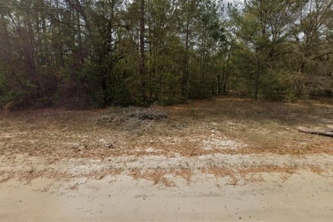 Terrain à vendre à Interlachen, Floride № 2223888 - photo 3