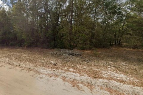 Terrain à vendre à Interlachen, Floride № 2223888 - photo 4