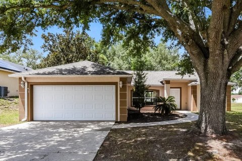 Villa ou maison à Minneola, Floride 3 chambres, 141.03 m2 № 2100054