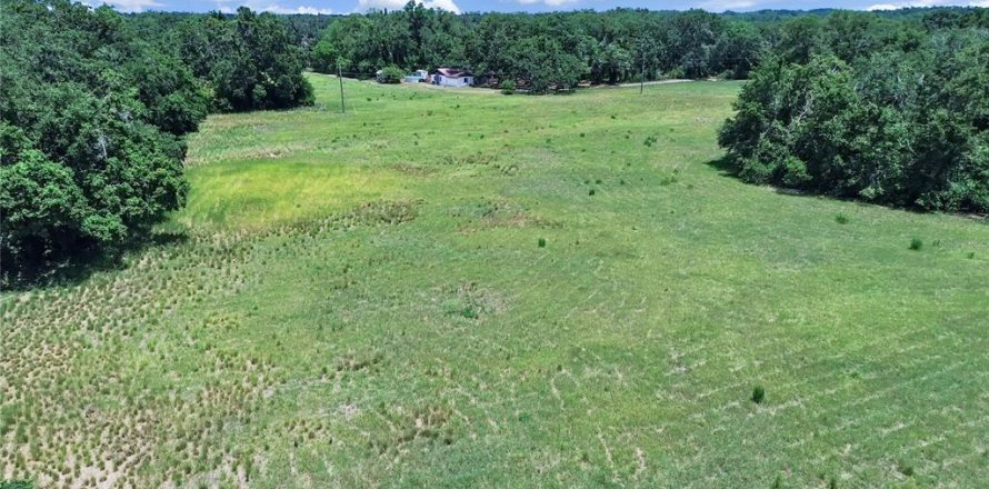 Land in Plant City, Florida № 1778389