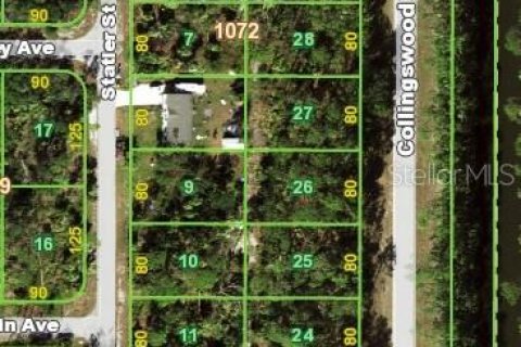 Land in Port Charlotte, Florida № 2159463 - photo 3