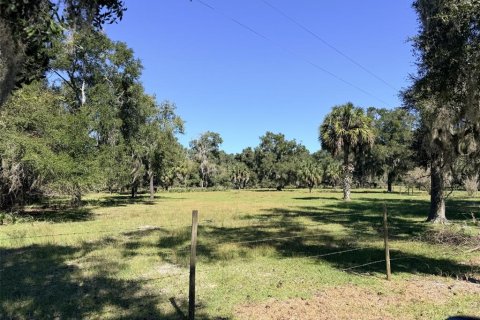 Villa ou maison à vendre à Chiefland, Floride: 3 chambres, 126.35 m2 № 2425792 - photo 20