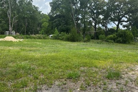 Terreno en venta en High Springs, Florida № 1777356 - foto 4