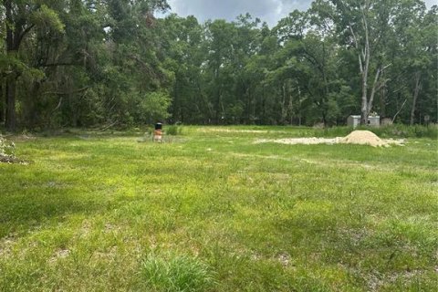 Terreno en venta en High Springs, Florida № 1777356 - foto 5