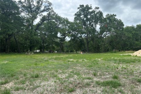 Terreno en venta en High Springs, Florida № 1777356 - foto 7