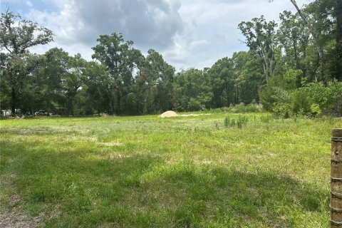 Terreno en venta en High Springs, Florida № 1777356 - foto 1