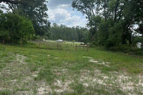 Terreno en venta en High Springs, Florida № 1777356 - foto 10