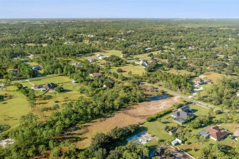 Land in Orlando, Florida № 2118536 - photo 4