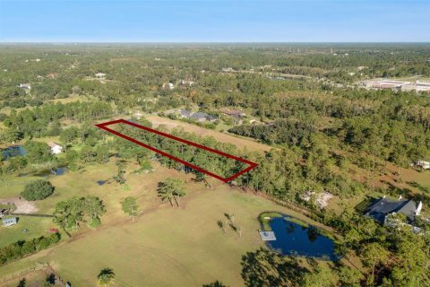 Land in Orlando, Florida № 2118536 - photo 16