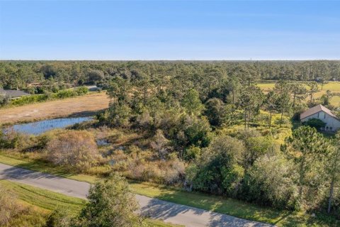 Land in Orlando, Florida № 2118536 - photo 7