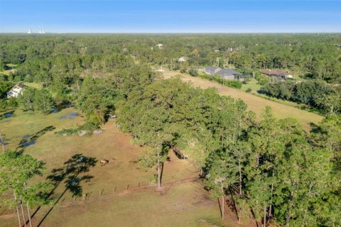 Land in Orlando, Florida № 2118536 - photo 3