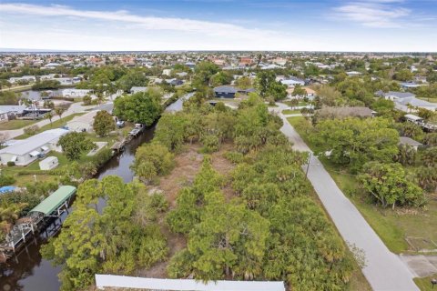 Terrain à vendre à Punta Gorda, Floride № 2156156 - photo 4