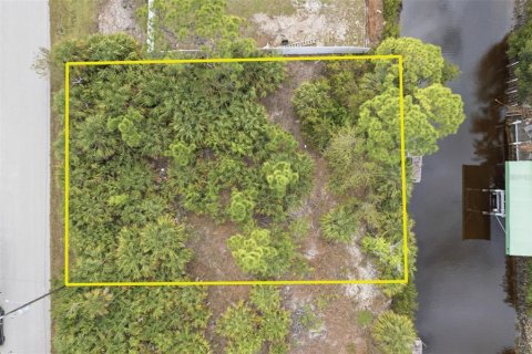 Terrain à Punta Gorda, Floride № 2156156