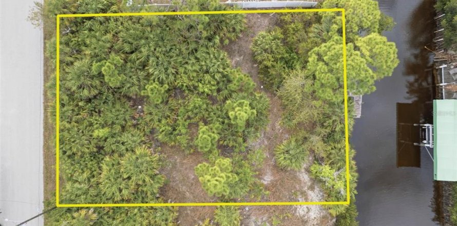 Terrain à Punta Gorda, Floride № 2156156