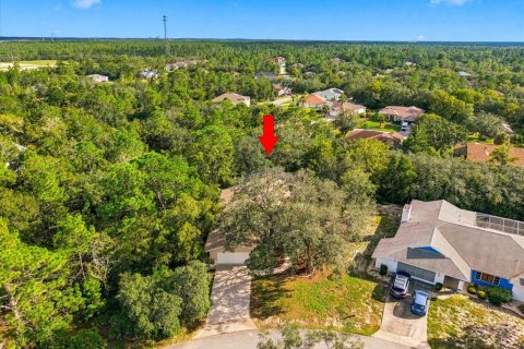House in Homosassa, Florida 3 bedrooms, 199 sq.m. № 2390996 - photo 4