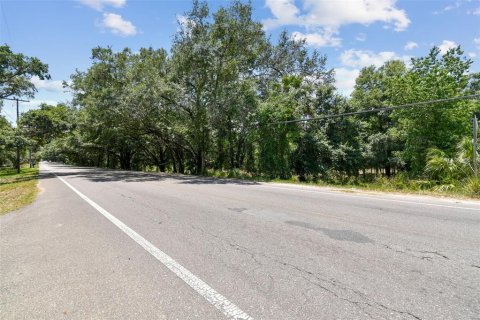 Terreno en venta en Thonotosassa, Florida № 2310645 - foto 15